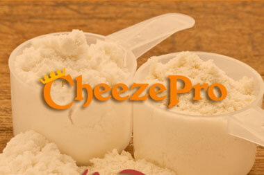 Dairy Ingredients
