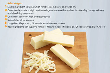 Analogue Semi-Hard Cheese Powder Base