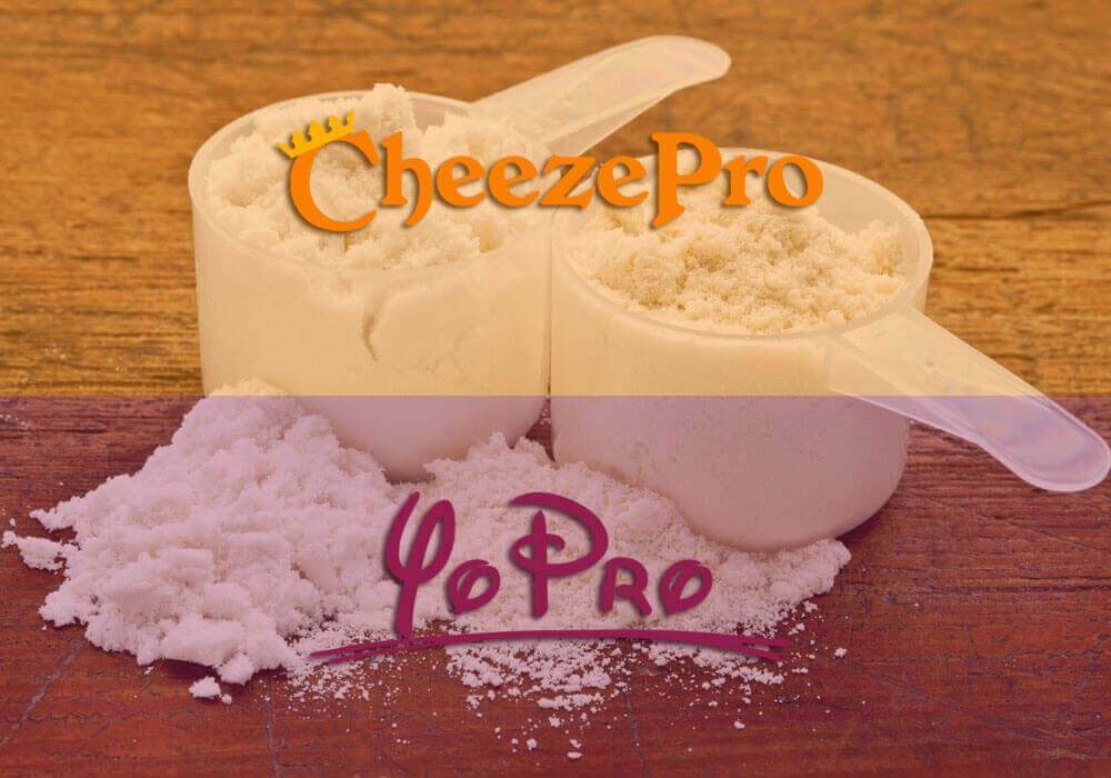 Dairy Ingredients