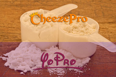 Dairy Ingredients